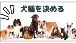 犬を英語でしつけたい！海外在住者が選ぶコマンド用語集 | 犬×海外生活