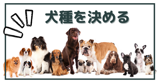 オーストラリアで犬を飼う前に大切な4つの準備【海外ペット事情】 | 犬×海外生活